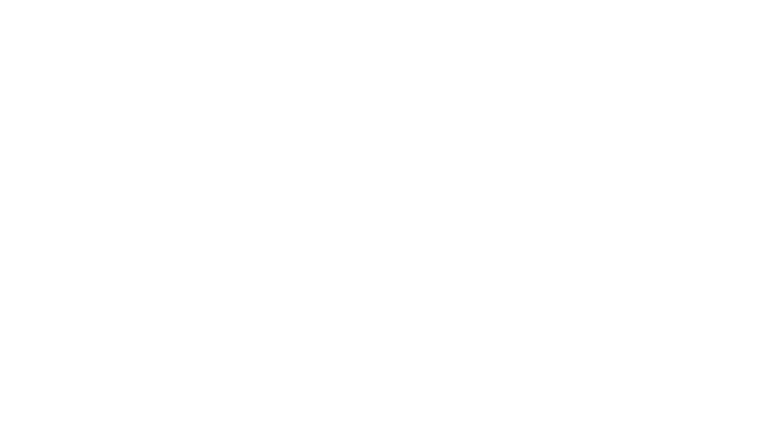 Vertex Cleaning