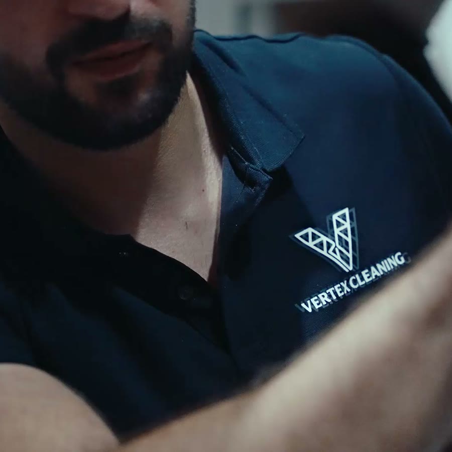 Vertex Cleaning